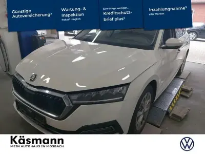 Gebraucht Skoda Octavia Style 150 PS (110 kW) 2024 Weiß Kombi