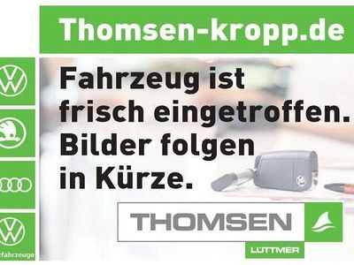 Gebraucht VW T-Roc Active 150 PS (110 kW) 2021 Weiss SUV