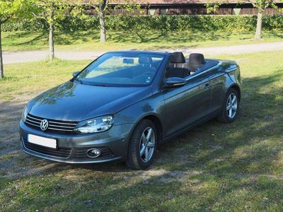 gebraucht VW Eos Eos1.4 TSI BlueMotion Technology Cup