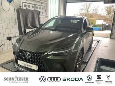 Gebraucht Lexus NX450h+ E-FOUR 185 PS (136 kW) 2023 Grün SUV