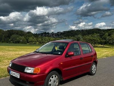 VW Polo