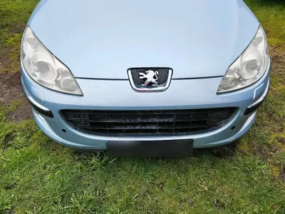 Gebraucht Peugeot 407 136 PS (100 kW) 2004 Blau Limousine