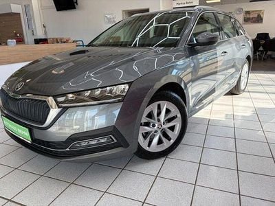 Gebraucht Skoda Octavia Style 150 PS (110 kW) 2023 Grau Kombi