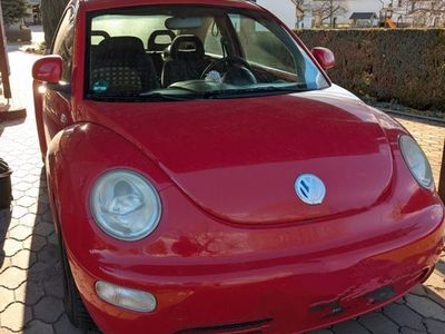 VW Beetle