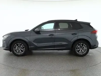 Gebraucht Cupra Terramar
