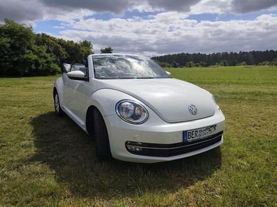 VW Beetle