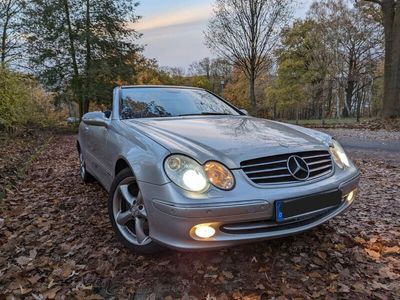 gebraucht Mercedes CLK200 CLK Cabrio 200 Kompressor Avantgarde