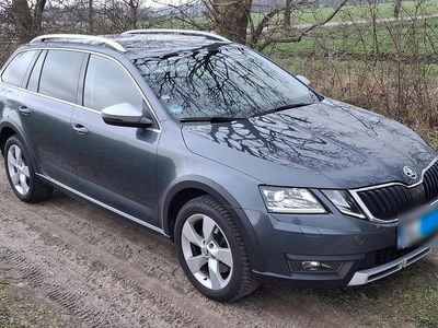 Gebraucht Skoda Octavia Scout 184 PS (135 kW) 2019 Grau Kombi