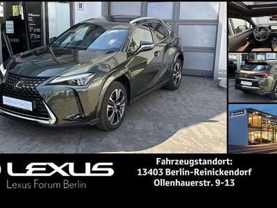 Brugt Lexus UX 250h Luxury Line 184 HK (135 kW) 2023 Grøn SUV