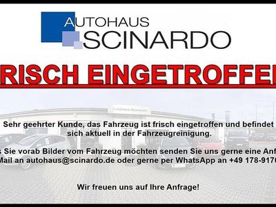 Usata Ford Focus ST 280 CV (205 kW) 2025 Grigio Berlina