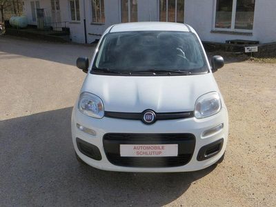 Gebraucht Fiat Panda Pop 69 PS (50 kW) 2014 Weiß Kleinwagen