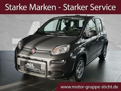Gebraucht Fiat Panda 69 PS (50 kW) 2024 Colosseo grau Kleinwagen