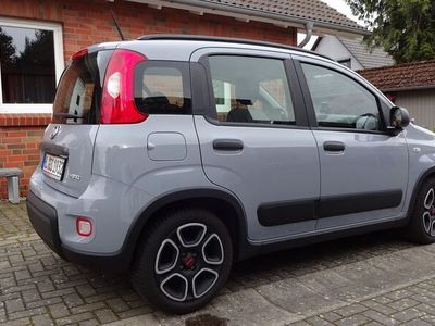 gebraucht Fiat Panda MY21, City Life Hybrid