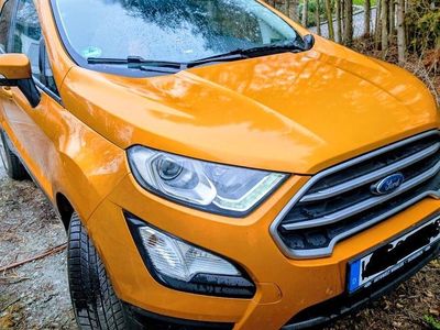 Gebraucht Ford Ecosport Cool & Connect 125 PS (91 kW) 2019 Gold SUV