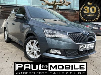 gebraucht Skoda Fabia 1.0 Style Navi LED R-Cam PDC Sitzheizung