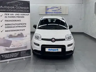 Gebraucht Fiat Panda Cross Cross 69 PS (50 kW) 2023 Weiß Kleinwagen