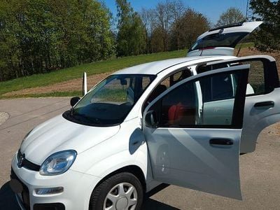 Usado Fiat Panda 69 HP (50 kW) 2016 Branco Citadino
