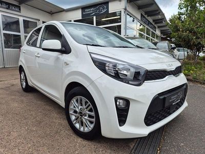 Brugt Kia Picanto Vision 84 HK (61 kW) 2023 Hvid Hatchback