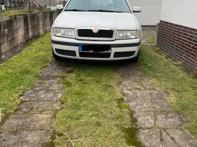Gebraucht Skoda Octavia