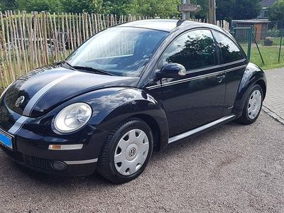 VW Beetle
