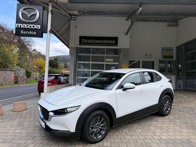 Gebraucht Mazda CX-30 Sky 122 PS (89 kW) 2022 Weiß SUV