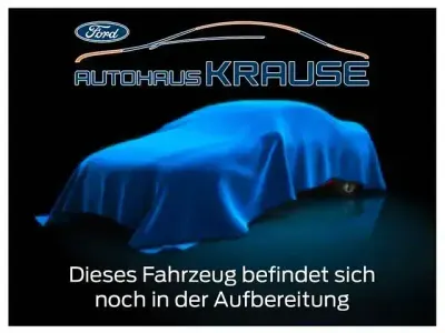 Gebraucht Citroën Berlingo PureTech 110 PS (80 kW) 2019 Blau metallic Van / Kleinbus