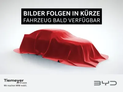 Neu BYD Dolphin Surf Active 64 kW (88 PS) 2026 Grün Kleinwagen