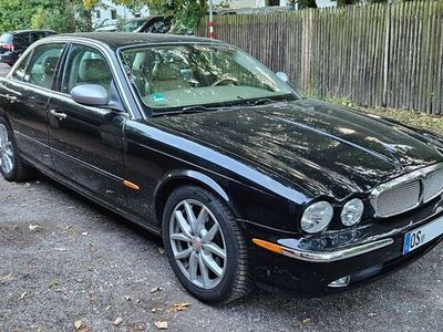 gebraucht Jaguar XJ8 4.2