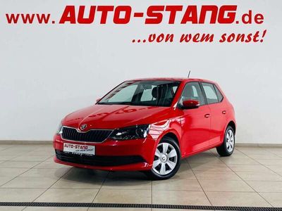 gebraucht Skoda Fabia 1.0 MPI *Klima*Tempomat*