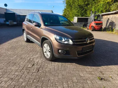Gebraucht VW Tiguan Life 140 PS (102 kW) 2013 Braun SUV