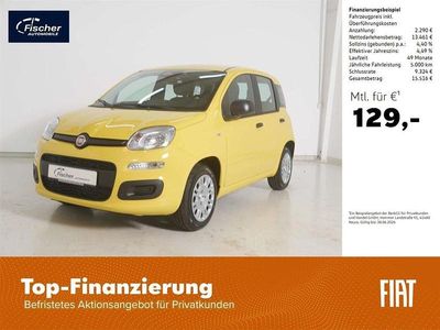 Neu Fiat Panda Icon 69 PS (50 kW) 2026 Gelb Kleinwagen