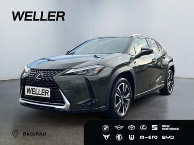 Gebraucht Lexus UX 250h 184 PS (135 kW) 2022 Gruen SUV