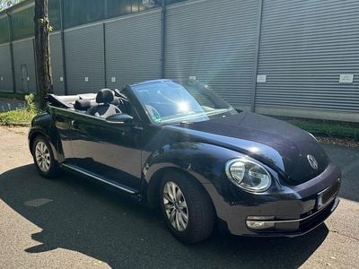 VW Beetle
