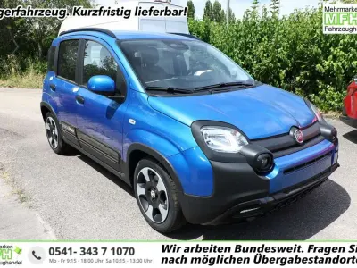 Neu Fiat Panda Cross Cross 65 PS (47 kW) 2026 Foresta grün metallic Kleinwagen
