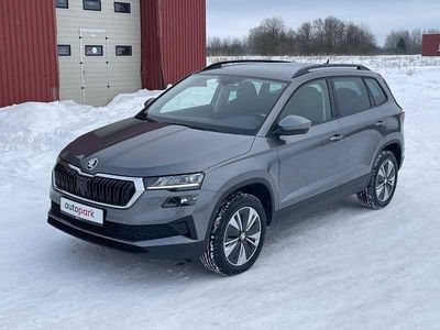 Grau Gebraucht 2024 Skoda Karoq Ambition SUV | 26.989 € (Guter Preis)