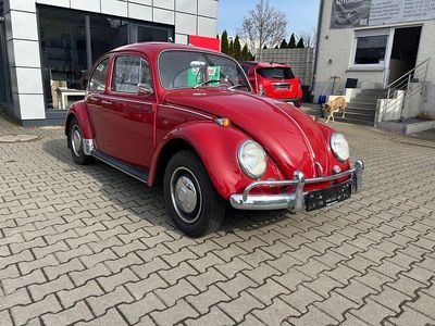Gebraucht VW Käfer 39 PS (28 kW) 1966 Rot Kleinwagen