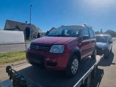Usata Fiat Panda 60 CV (44 kW) 2008 Rosso Utilitaria
