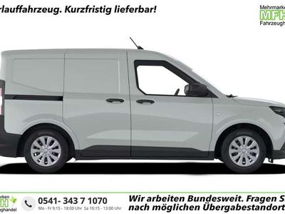 Cactus grey Neu 2025 Ford Transit Trend Van / Kleinbus | 22.976 € (Guter Preis)