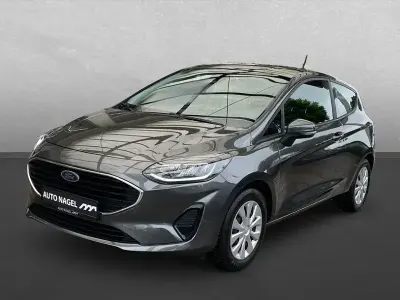Gebraucht Ford Fiesta Trend 75 PS (55 kW) 2022 Grau Kleinwagen
