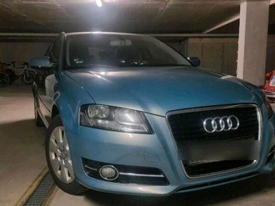 gebraucht Audi A3 1.6 TDI Attraction Pano + Shzg + Tempom. + 8-fach bereift