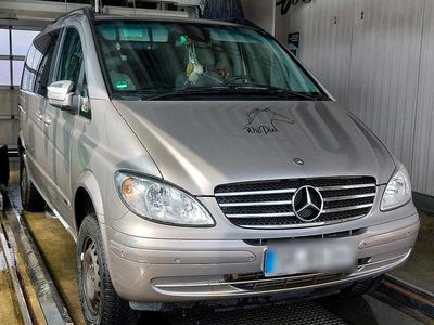 Mercedes Viano