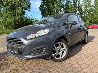 Usata Ford Fiesta Trend 80 CV (58 kW) 2015 Grigio Utilitaria