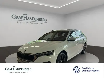Gebraucht Skoda Octavia Ambition 150 PS (110 kW) 2023 Moonweiß perleffekt Kombi