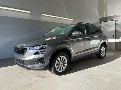 [m3m3] stahl grau Neu 2025 Skoda Karoq Selection SUV | 33.890 € (Fairer Preis)