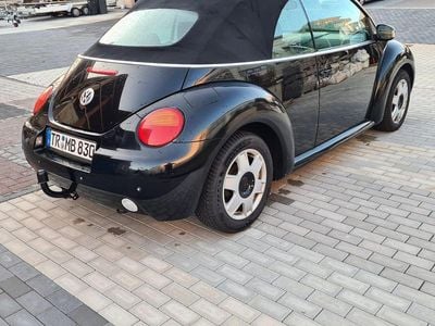 VW Beetle