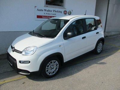 Gebraucht Fiat Panda 69 PS (50 kW) 2024 Schwarz Kleinwagen