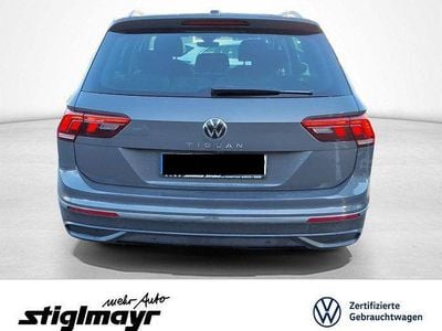 Delfingrau metallic (metallic) Gebraucht 2022 VW Tiguan Active SUV | 24.940 € (Fairer Preis)
