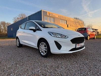 Gebraucht Ford Fiesta Trend 75 PS (55 kW) 2020 Weiß Kleinwagen