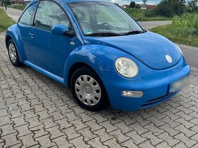 VW Beetle