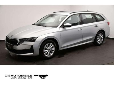 Usata Skoda Octavia Selection 150 CV (110 kW) 2025 Argento Station wagon